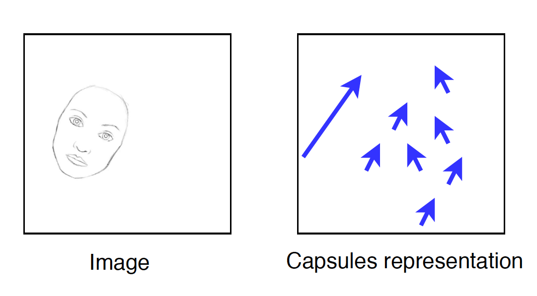 Figure 3: Capsule representation. Inspired from [4]